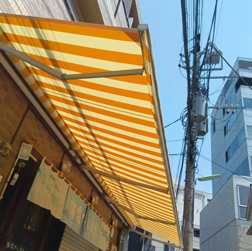 シャガールアート生地によるオーニングテント張替え工事